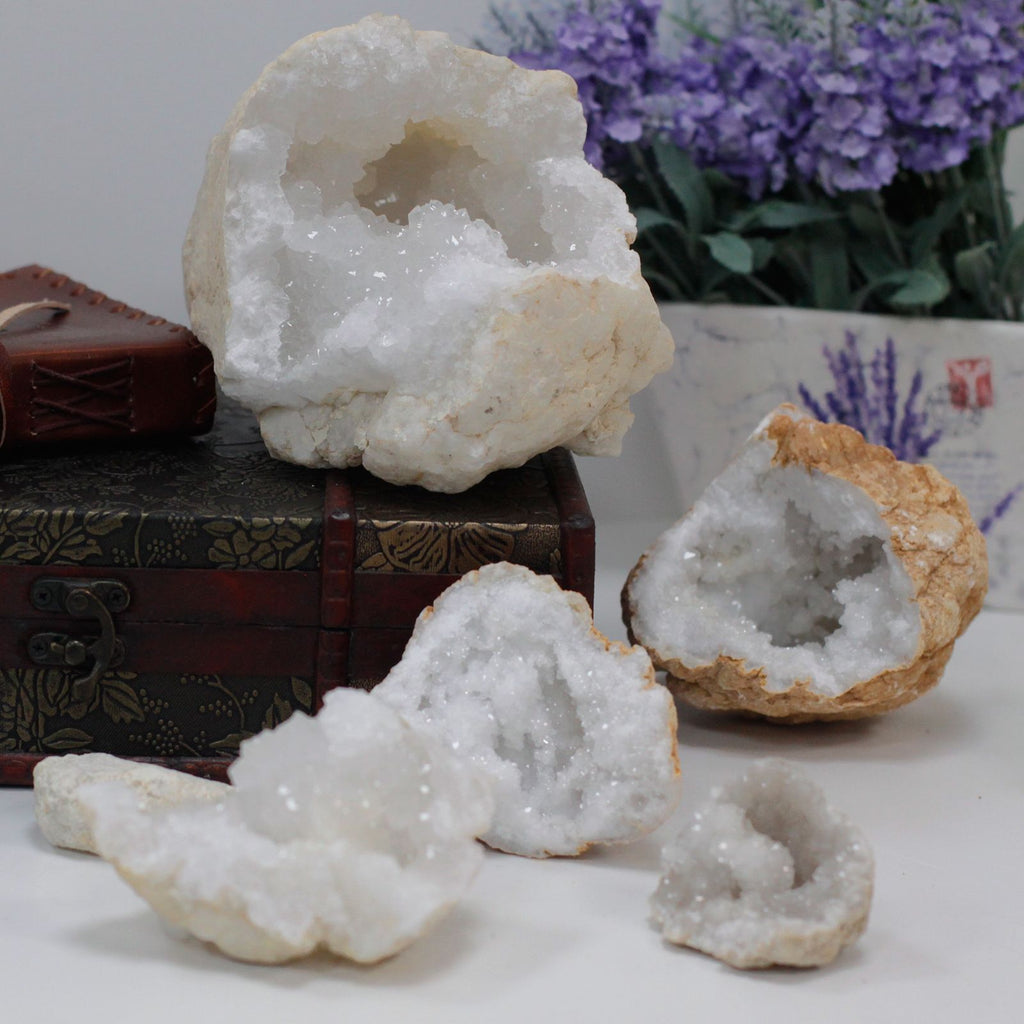 Unopened Mystery Geode — 8 × 8 × 4 cm